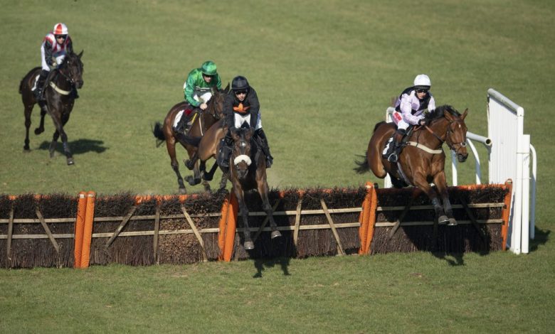 The horse racing game in form boasts a profit of £57.37 this season with only rides on Monday