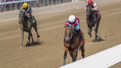 Money-Making Strategy for Betting Echo Zulu in Breeders’ Cup Juvenile Fillies