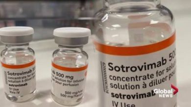 Health experts say new COVID-19 treatment being offered in Alberta is not a substitute for the vaccine