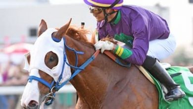 Breeders’ Cup Classic Contenders, Odds And Post Position: Stilleto Boy