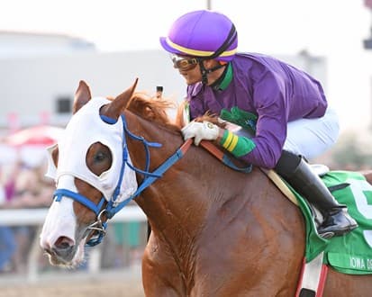 Breeders’ Cup Classic Contenders, Odds And Post Position: Stilleto Boy
