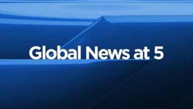 Global News at 5 Lethbridge: Nov 4