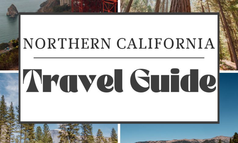Northern California Road Trip Itinerary