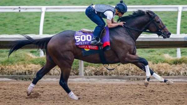 Live Longshots and Value Plays for the 2021 Breeders’ Cup