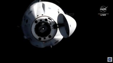 4 astronauts splashdown off Florida coast in SpaceX capsule : NPR