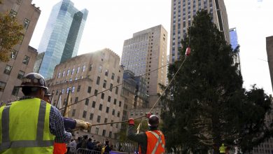 79-foot Christmas tree arrives in New York City's Rockefeller Center : NPR