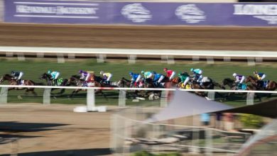 2021 Longines Breeders’ Cup Turf at a Glance