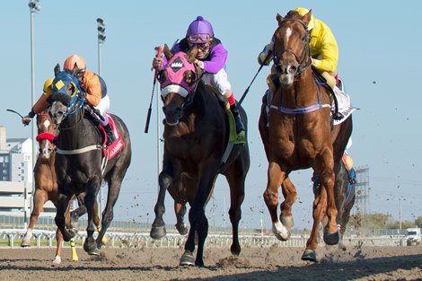 Pink Lloyd Prevails in Ontario Jockey Club