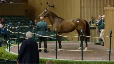 Paris Lights Shines for $3.1M at Keeneland