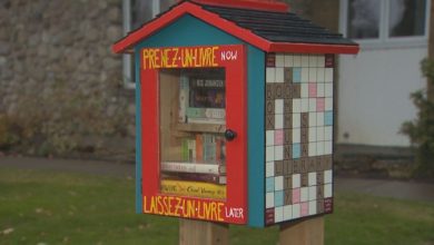 Missing Montreal community book box replaced when Alberta woman builds new one