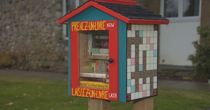 Missing Montreal community book box replaced when Alberta woman builds new one