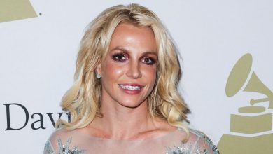 Britney Spears Breaks Silence On Conservatorship Freedom, Thanks #FreeBritney For Win