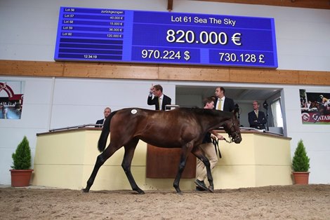 Sale-Topping Sister to Sea The Moon Wins on Debut