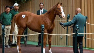 Justify Weanling Tops Strong Keeneland November Session