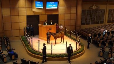 $750K Curlin Filly Top Fasig-Tipton Weanling