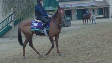 Journey Back To Breeders' Cup A Feat For Repeat Runners