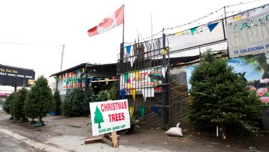 Christmas tree shortage: Canadians may want to buy early