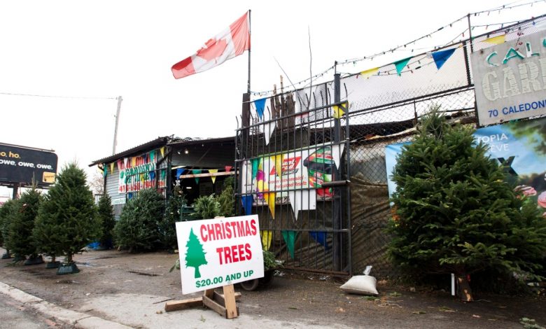 Christmas tree shortage: Canadians may want to buy early