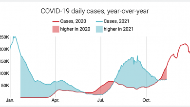 Is the fifth wave coming?  Before the holiday, COVID-19 cases remain below 2020 levels — Now