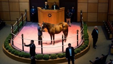 Miki Goes to $3M Each to Secure Brave Anna, Aunt Pearl