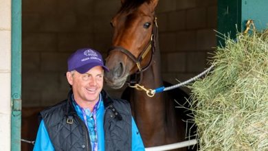 Many Hopes Ride With BC Contender Hidden Connection