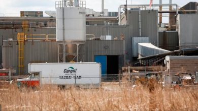 Potential strike action looms at High River Cargill meat-packing plant