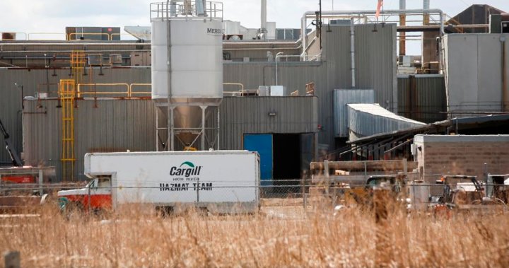 Potential strike action looms at High River Cargill meat-packing plant