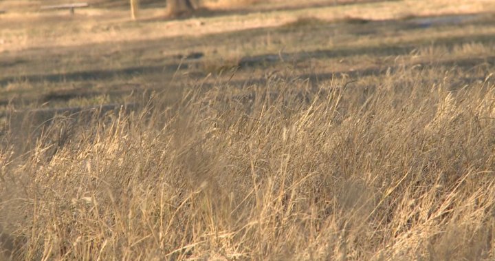 ‘Worst time of the year’ for wildfire risk in Lethbridge County - Lethbridge