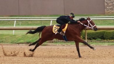 2022 Texas 2-Year-Olds in Training Sale Set for April 6