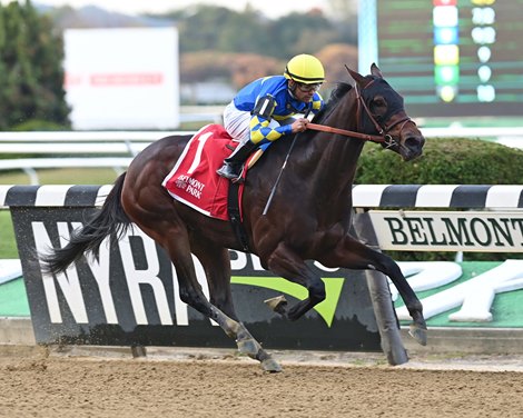 Rockefeller in Command Throughout Nashua Stakes