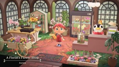What is the Donation Box in Animal Crossing: New Horizons