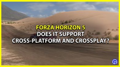 Is Forza Horizon 5 (FH5) Cross-Platform? Crossplay Support Guide