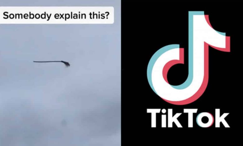 Viral floating broom TikTok has users baffled