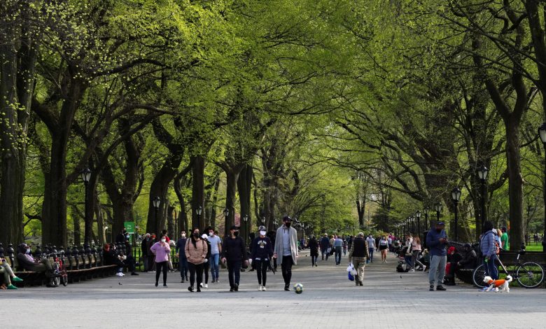 City trees are turning green early, food and pollinator warning reminders: NPR