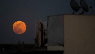 How you can see a near total lunar eclipse on Friday morning: NPR