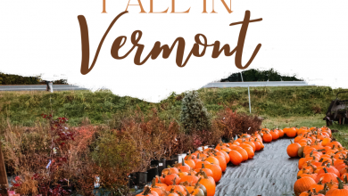 Fall in Vermont: Best Places for a Foliage Road Trip