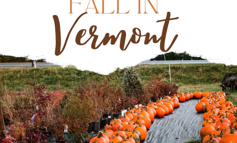 Fall in Vermont: Best Places for a Foliage Road Trip