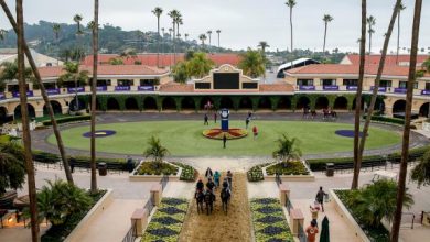 Stacked Longines Breeders’ Cup Classic Field Set After Post-Position Draw