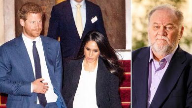 Meghan Markle's Private Text Messages Released, Accused Royal Family Of 'Constantly Berating’ Prince Harry