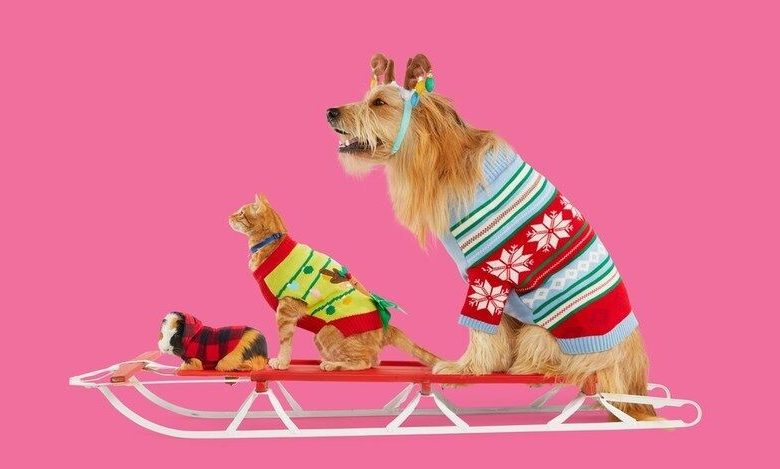 Festive Pet Product Collections