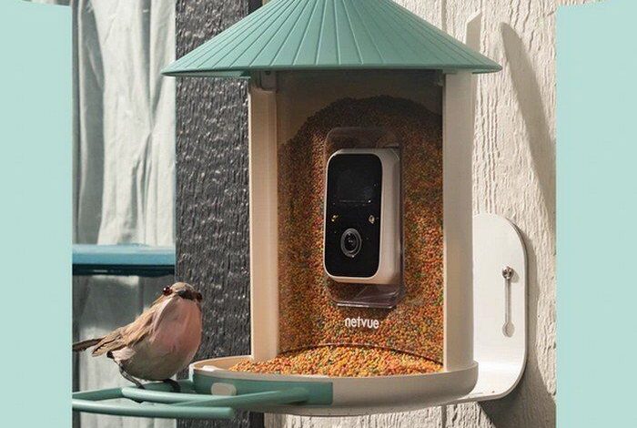 AI-Powered Bird Feeder Cameras