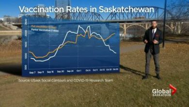 Vaccine passports improved Saskatchewan vaccination rate: study