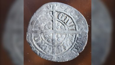 Canada's oldest English coin found during archeological dig in Newfoundland