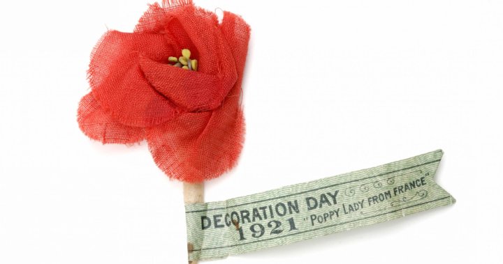 100 Years of Poppies: From Flanders Fields to our lapels