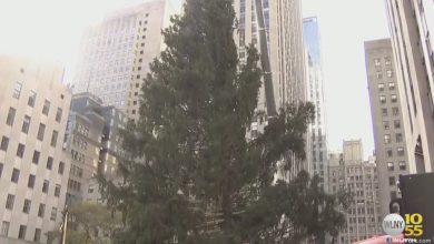 Rockefeller Center Christmas Tree Arrives In New York City – CBS New York