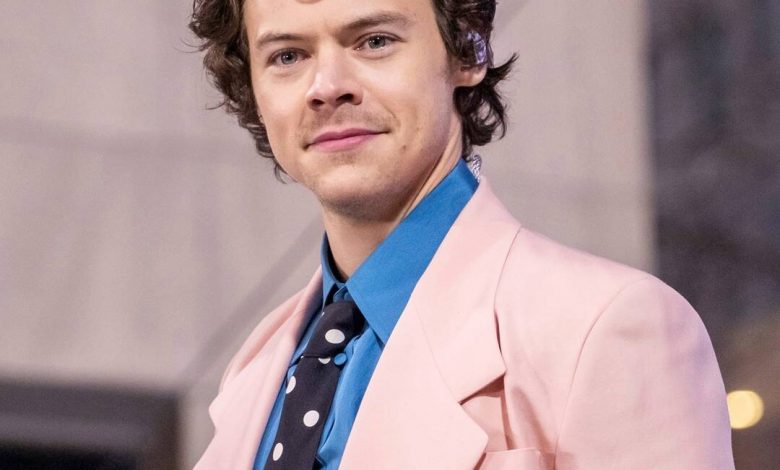 Harry Styles Gives Advice to Exes Who Attended His Concert Together