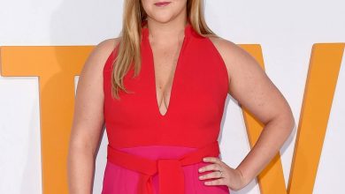 Amy Schumer Reacts After Man Meets Her "Screaming" 2-Year-Old Son Gene