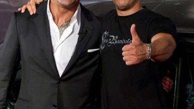 Vin Diesel Asks Dwayne Johnson to Join Fast & Furious 10
