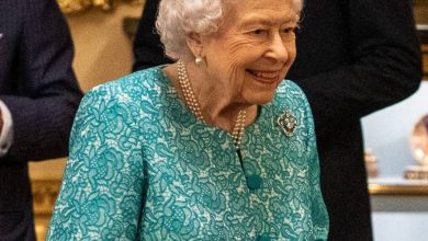 Queen Elizabeth II Misses Remembrance Day Service After Back Sprain