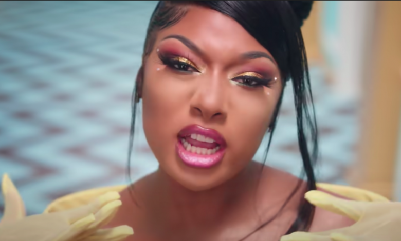 Megan Thee Stallion Drops Out of American Music Awards: 'Devastating' Over Dolph's Death!!